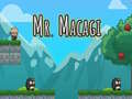 Žaidimas Mr Macagi