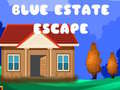Žaidimas Blue Estate Escape