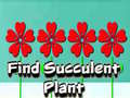 Žaidimas Find Succulent Plant