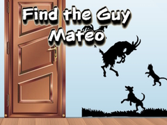 Žaidimas Find the Guy Mateo