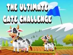 Žaidimas The Ultimate Gate Challenge