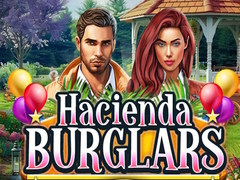 Žaidimas Hacienda Burglars