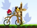 Žaidimas Angry Birds Bike Revenge