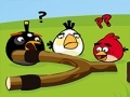 Žaidimas Angry Birds Go Crazy