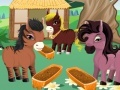 Žaidimas Princess' Ponies