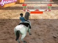 Žaidimas Horse Jumping 3D