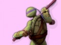 Žaidimas Ninja Turtles Colours Memory