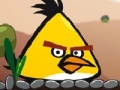 Žaidimas Angry Bird Super Puzzle