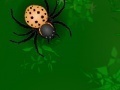 Žaidimas Spiders attack 