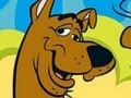 Žaidimas Photo mess Scooby Doo