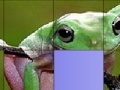 Žaidimas Frog Slide Puzzle
