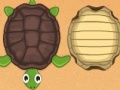 Žaidimas Guess the turtle