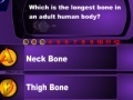 Žaidimas Human Body Quizz Game