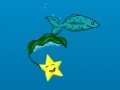 Žaidimas Star Fish