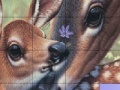 Žaidimas Deers and Lovely Day Slide Puzzle