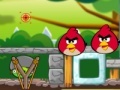 Žaidimas Angry birds: Green pig defense