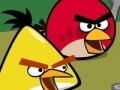 Žaidimas Memory - Angry Birds