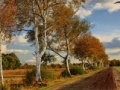 Žaidimas Russian Road