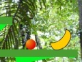 Žaidimas Bouncin' Blob Bonanza