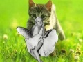 Žaidimas Kitty saevs the day!