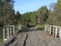 Žaidimas Diamond Bridge Escape