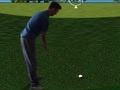Žaidimas Flash Golf 3D