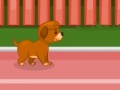 Žaidimas Puppy racer