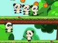 Žaidimas Panda Shock Troop 