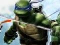 Žaidimas Ninja Turtle Double Dragons 