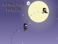 Žaidimas Amazing Ninja