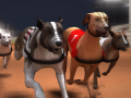 Žaidimas Greyhound Racing