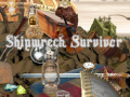 Žaidimas Shipwreck Survivor
