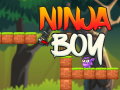 Žaidimas Ninja Boy