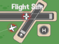 Žaidimas Flight Sim