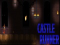 Žaidimas Castle Runner  