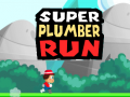 Žaidimas Super Plumber Run