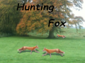 Žaidimas Hunting Fox