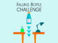 Žaidimas Falling Bottle Challenge