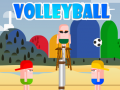 Žaidimas VolleyBoll