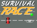 Žaidimas Survival Race