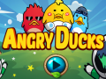 Žaidimas Angry Ducks