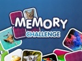 Žaidimas Memory Challenge