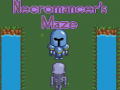 Žaidimas Necromancer's Maze