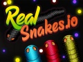 Žaidimas Real Snakes.io