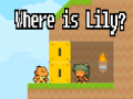 Žaidimas Where is Lily?