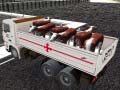 Žaidimas Truck Transport Domestic Animals