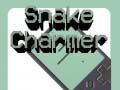 Žaidimas Snake Charmer