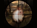 Žaidimas Classical Rabbit Sniper Hunting 2019