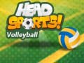 Žaidimas Head Sports Volleyball