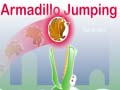 Žaidimas Armadillo Jumping